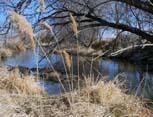 fall=stream
